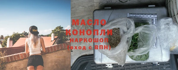 индика Абинск