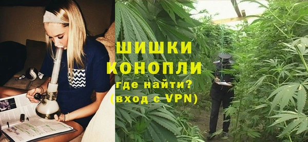 PSILOCYBIN Абдулино